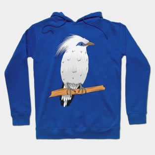 Bali Myna tropical exotic bird Hoodie